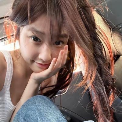 布里斯比熊