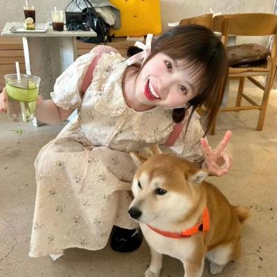 驯鹿游戏