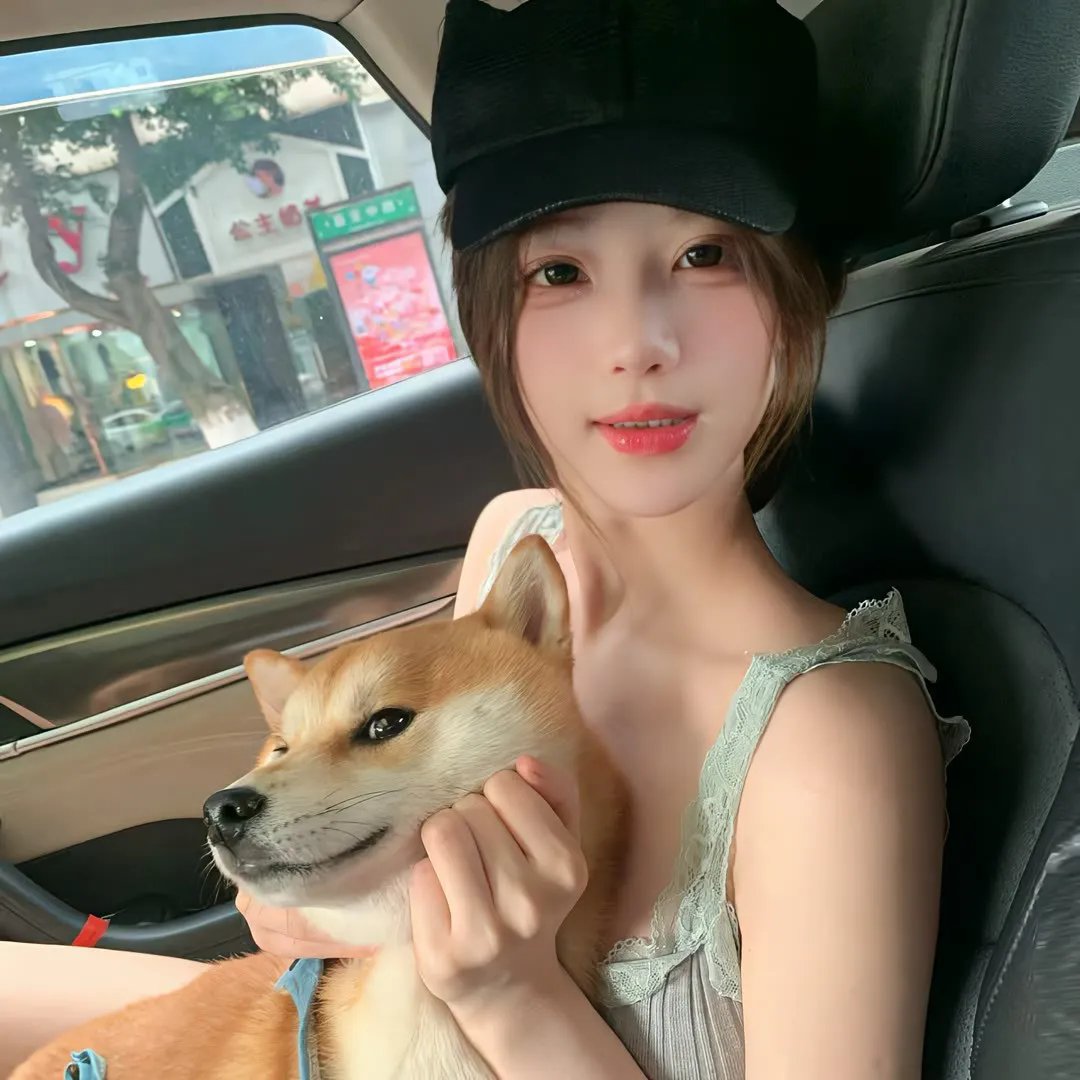 流浪的心